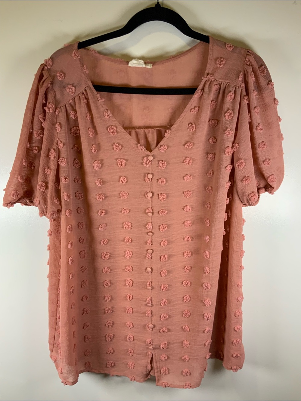 Textured Swiss Dot V-Neck Blouse in Dusty Rose